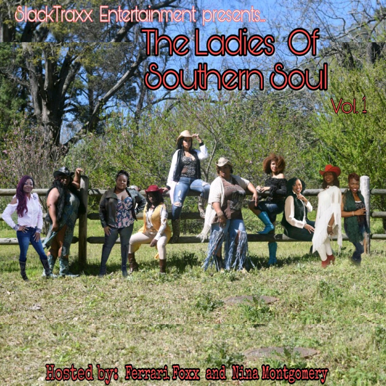 The Ladies of Southern Soul